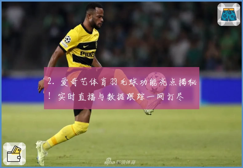 2. 爱奇艺体育羽毛球功能亮点揭秘！实时直播与数据跟踪一网打尽