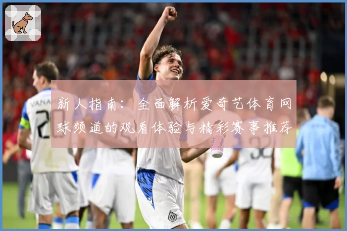 新人指南：全面解析爱奇艺体育网球频道的观看体验与精彩赛事推荐